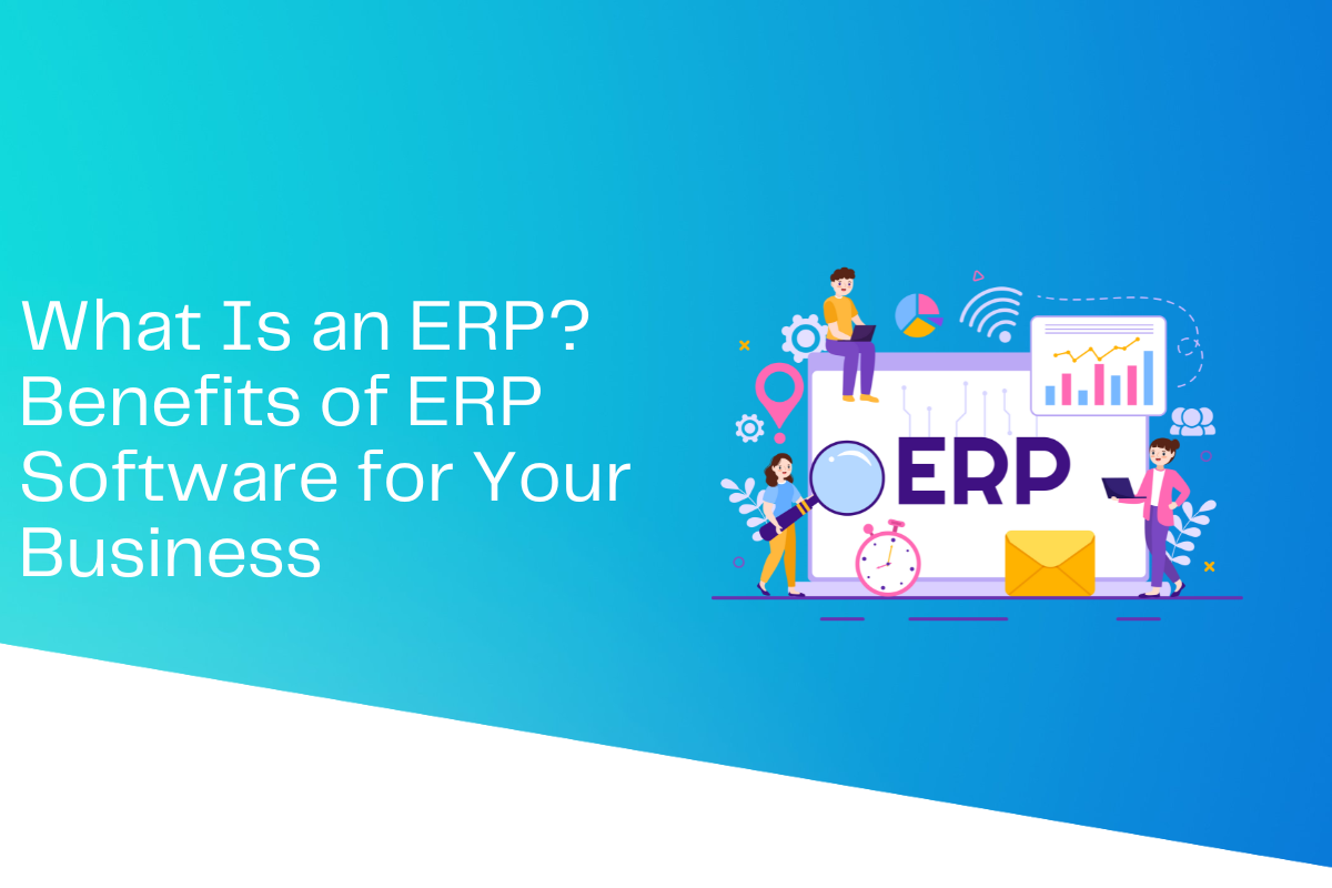what is an ERP
